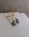 Seashell Grey Pearl Earrings