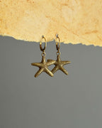 Starfish Earrings