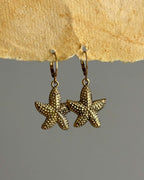 Brass earrings with unique sea star fish design handmade by A Creator's Studio
