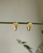 Shell Fan Hoops