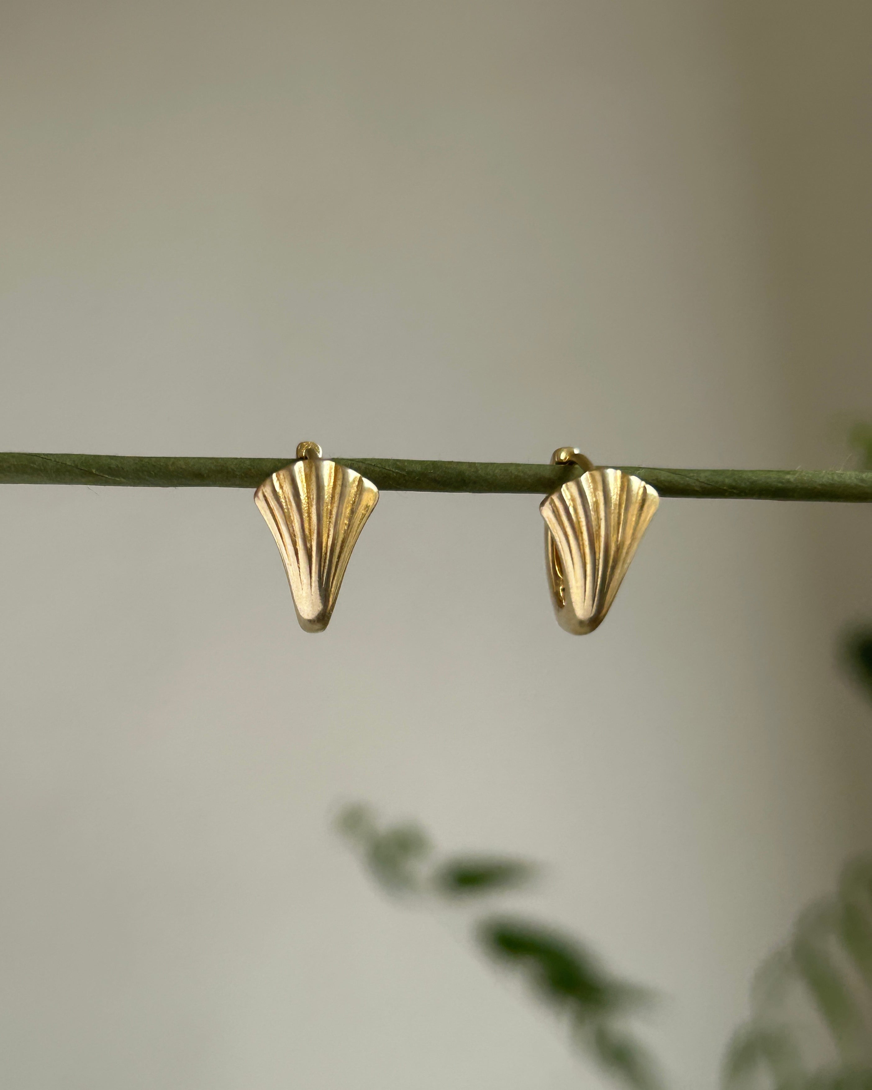 Shell Fan Hoops