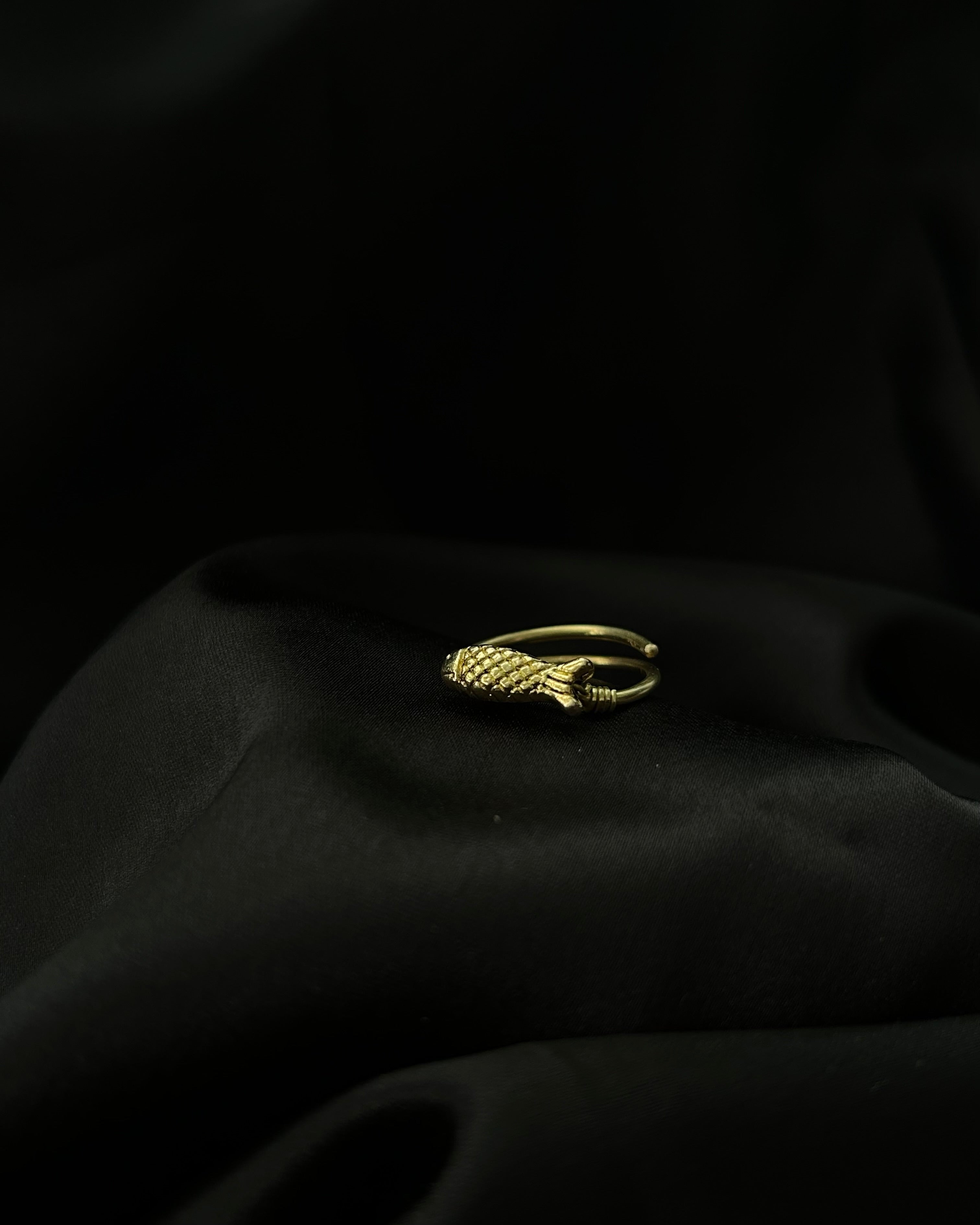 Fish Ring Brass
