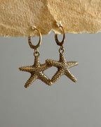 Brass earrings with unique starfish design handmade by A Creator's Studio